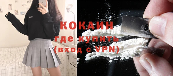 ГАЛЛЮЦИНОГЕННЫЕ ГРИБЫ Краснослободск