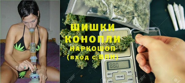 ГАЛЛЮЦИНОГЕННЫЕ ГРИБЫ Краснослободск