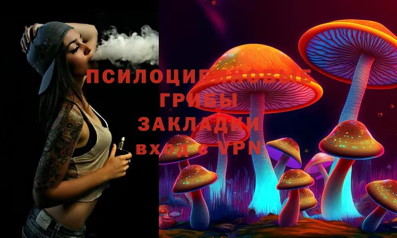 Псилоцибиновые грибы MAGIC MUSHROOMS  наркошоп  Калининец 