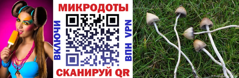 Псилоцибиновые грибы ЛСД Калининец